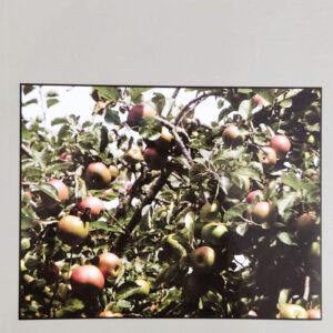 Добар је Бог