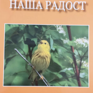 Христос наша радост