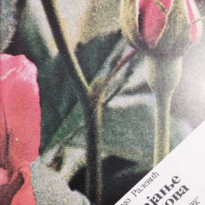 Покајање и обнова