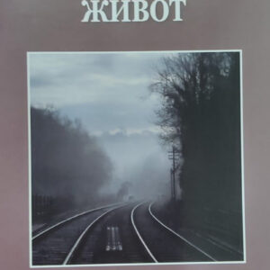 Шта је ваш живот